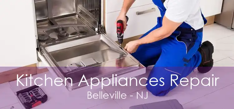 Kitchen Appliances Repair Belleville - NJ