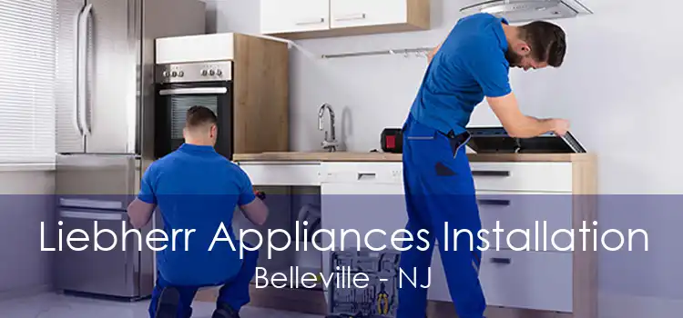 Liebherr Appliances Installation Belleville - NJ