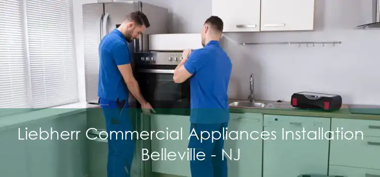 Liebherr Commercial Appliances Installation Belleville - NJ