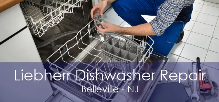 Liebherr Dishwasher Repair Belleville - NJ