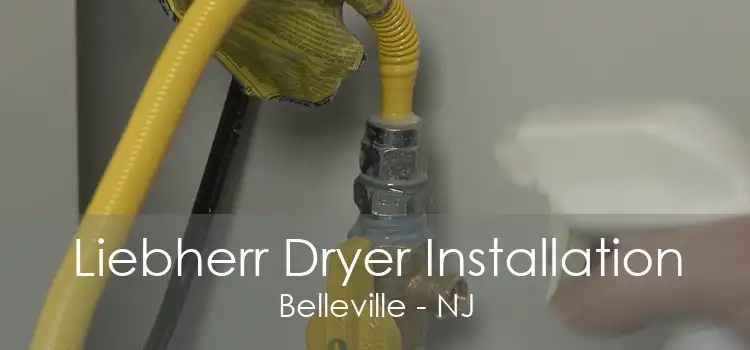 Liebherr Dryer Installation Belleville - NJ