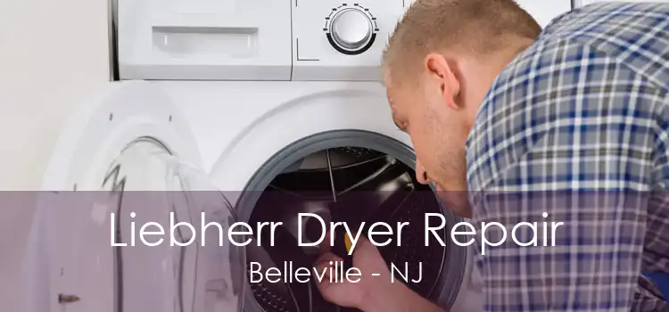 Liebherr Dryer Repair Belleville - NJ