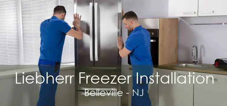 Liebherr Freezer Installation Belleville - NJ