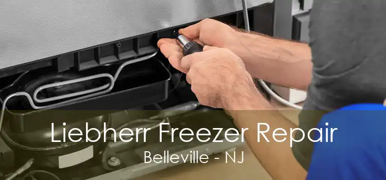 Liebherr Freezer Repair Belleville - NJ