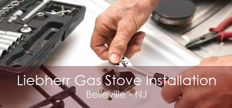 Liebherr Gas Stove Installation Belleville - NJ