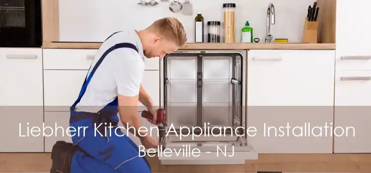 Liebherr Kitchen Appliance Installation Belleville - NJ