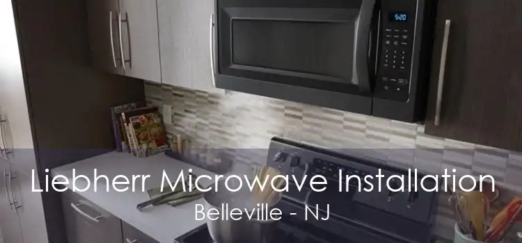 Liebherr Microwave Installation Belleville - NJ