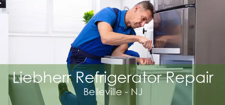 Liebherr Refrigerator Repair Belleville - NJ