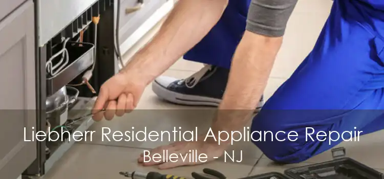 Liebherr Residential Appliance Repair Belleville - NJ