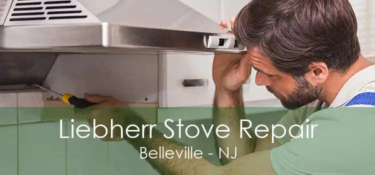 Liebherr Stove Repair Belleville - NJ