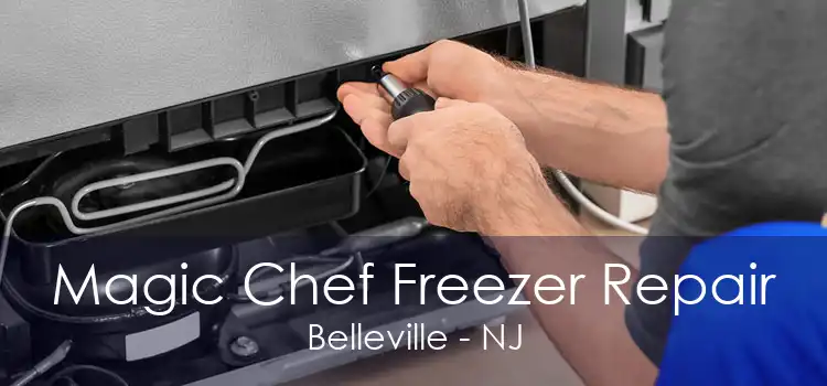 Magic Chef Freezer Repair Belleville - NJ