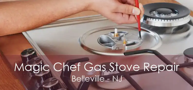 Magic Chef Gas Stove Repair Belleville - NJ