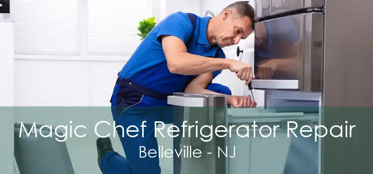 Magic Chef Refrigerator Repair Belleville - NJ