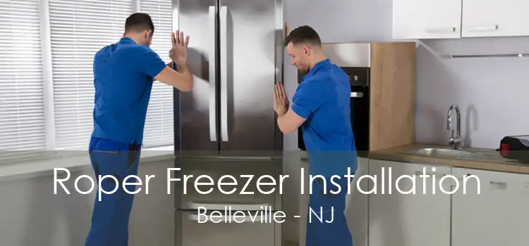 Roper Freezer Installation Belleville - NJ