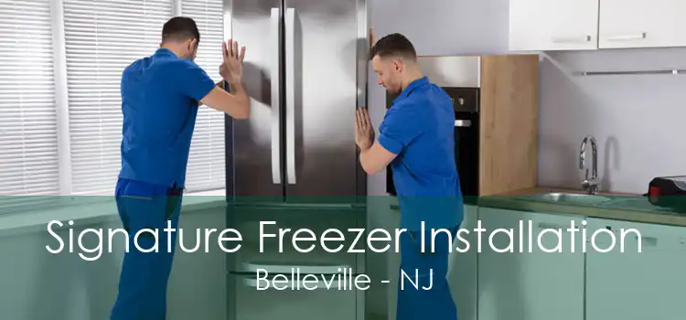 Signature Freezer Installation Belleville - NJ