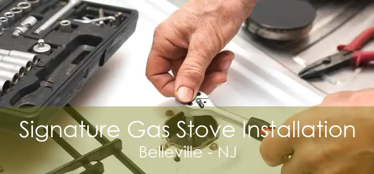 Signature Gas Stove Installation Belleville - NJ