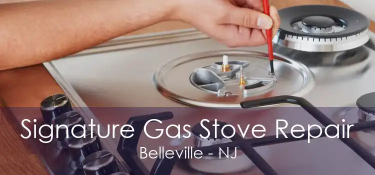 Signature Gas Stove Repair Belleville - NJ