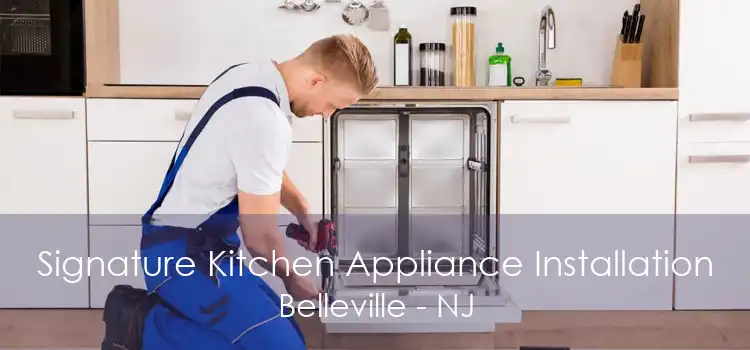 Signature Kitchen Appliance Installation Belleville - NJ