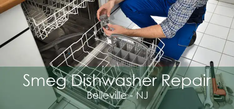 Smeg Dishwasher Repair Belleville - NJ