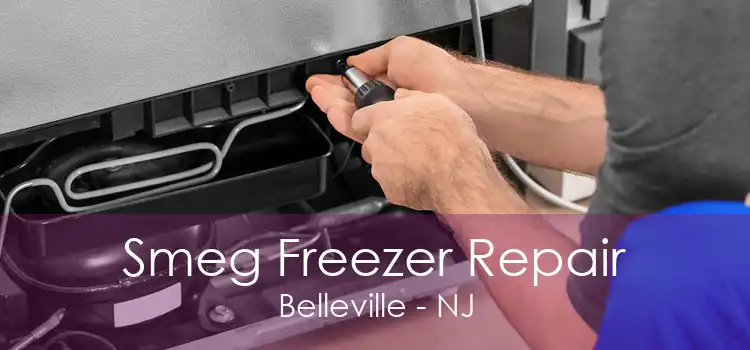 Smeg Freezer Repair Belleville - NJ