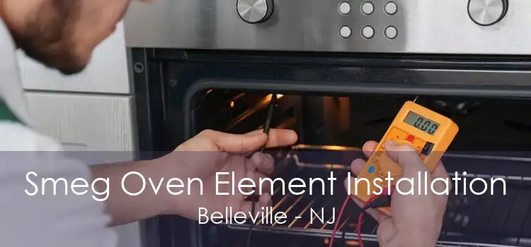 Smeg Oven Element Installation Belleville - NJ