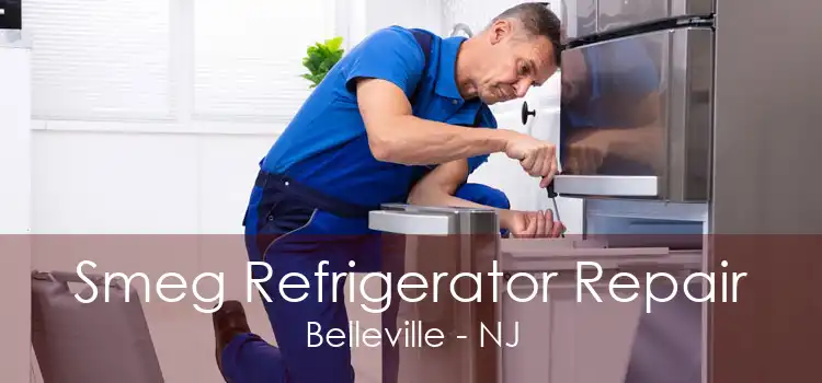 Smeg Refrigerator Repair Belleville - NJ