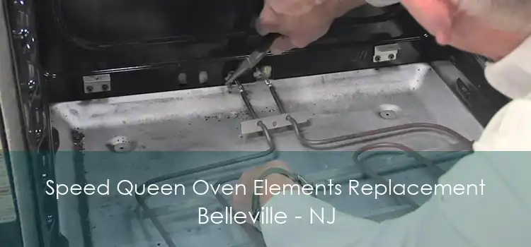 Speed Queen Oven Elements Replacement Belleville - NJ