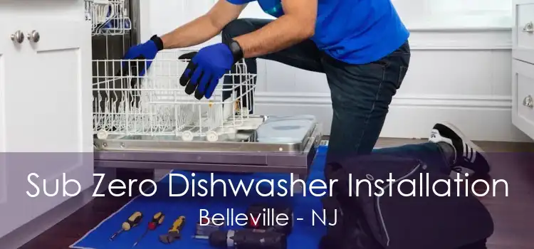 Sub Zero Dishwasher Installation Belleville - NJ