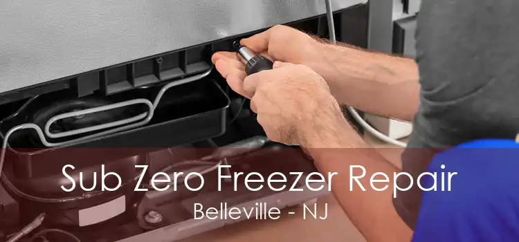 Sub Zero Freezer Repair Belleville - NJ