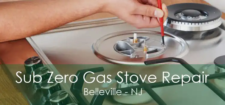 Sub Zero Gas Stove Repair Belleville - NJ