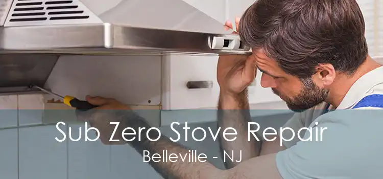 Sub Zero Stove Repair Belleville - NJ