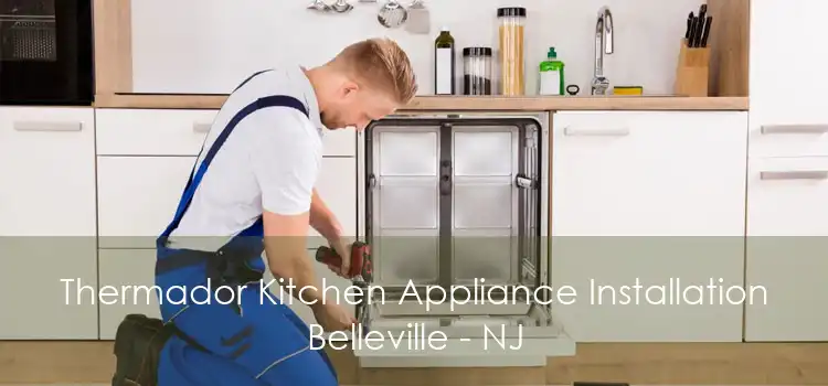 Thermador Kitchen Appliance Installation Belleville - NJ