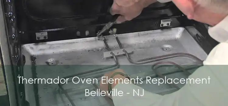 Thermador Oven Elements Replacement Belleville - NJ