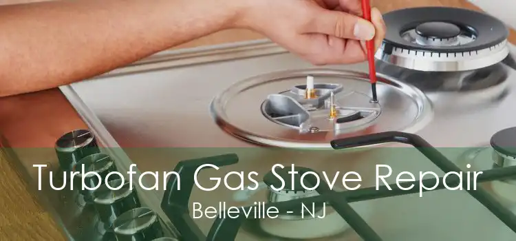 Turbofan Gas Stove Repair Belleville - NJ