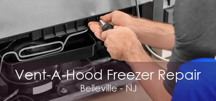 Vent-A-Hood Freezer Repair Belleville - NJ