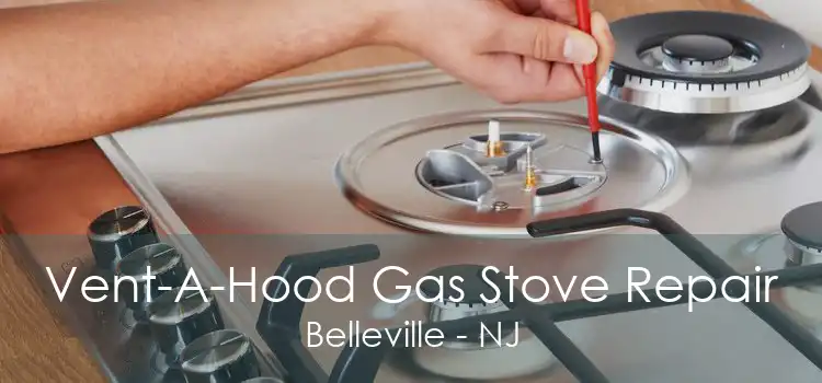 Vent-A-Hood Gas Stove Repair Belleville - NJ