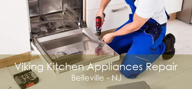 Viking Kitchen Appliances Repair Belleville - NJ