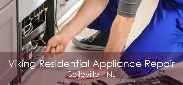 Viking Residential Appliance Repair Belleville - NJ