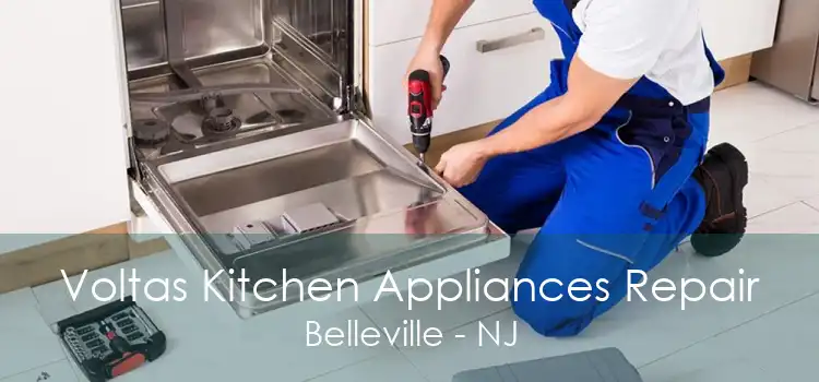 Voltas Kitchen Appliances Repair Belleville - NJ