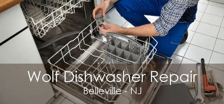 Wolf Dishwasher Repair Belleville - NJ