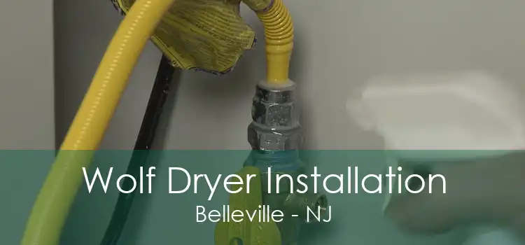 Wolf Dryer Installation Belleville - NJ