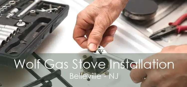 Wolf Gas Stove Installation Belleville - NJ