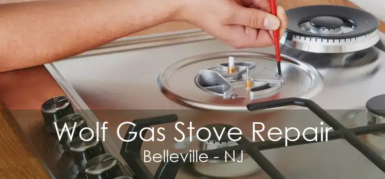 Wolf Gas Stove Repair Belleville - NJ