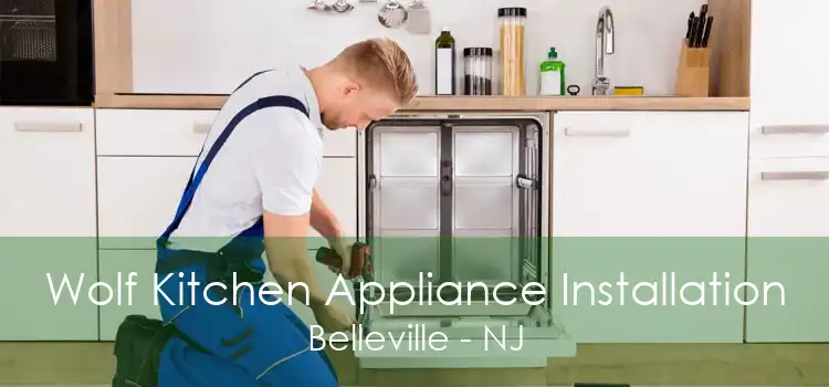 Wolf Kitchen Appliance Installation Belleville - NJ