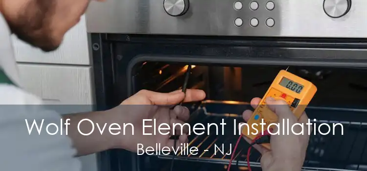 Wolf Oven Element Installation Belleville - NJ