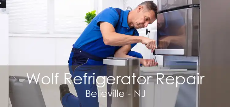 Wolf Refrigerator Repair Belleville - NJ