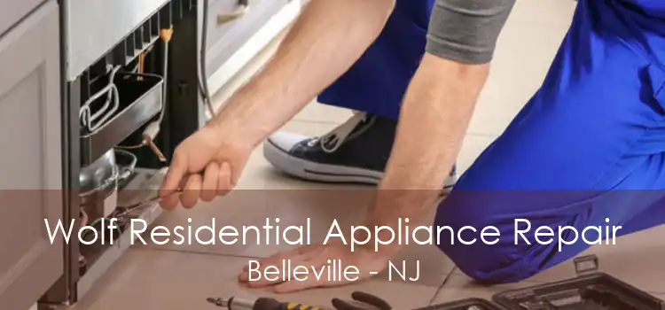 Wolf Residential Appliance Repair Belleville - NJ