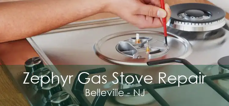 Zephyr Gas Stove Repair Belleville - NJ