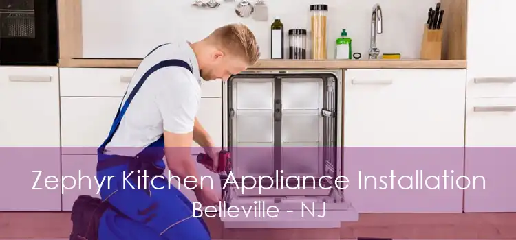 Zephyr Kitchen Appliance Installation Belleville - NJ