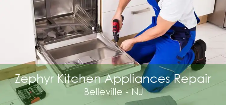 Zephyr Kitchen Appliances Repair Belleville - NJ